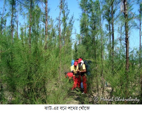 In search of way